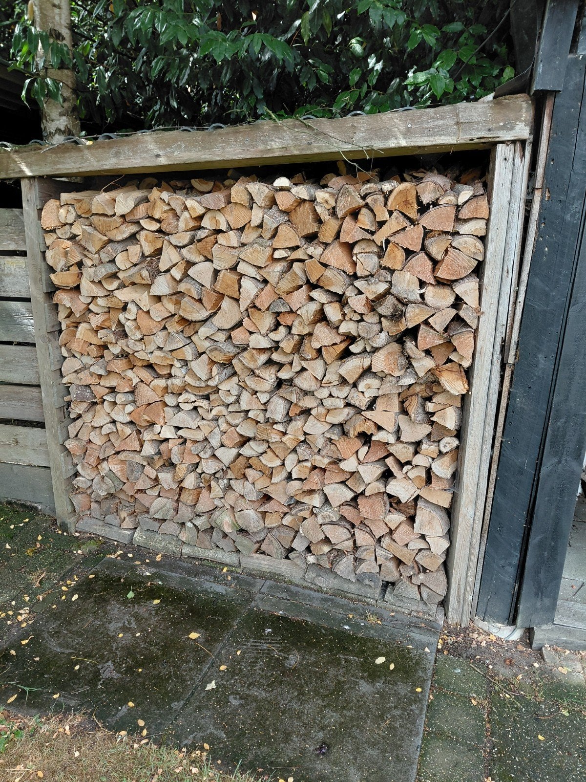 haardhout, 6 m³ of meer, Ophalen of Verzenden