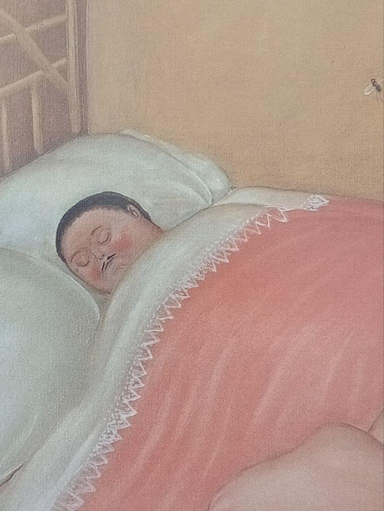 Fernando Botero print naakt erotiek, Ophalen of Verzenden