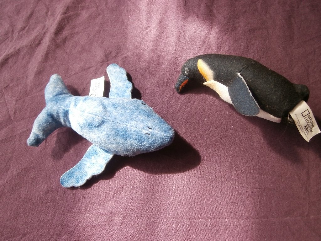 Knuffel Pinguïn van National Geographic Kids, Overige merken, Overige typen, Zwart, Ophalen of Verzenden