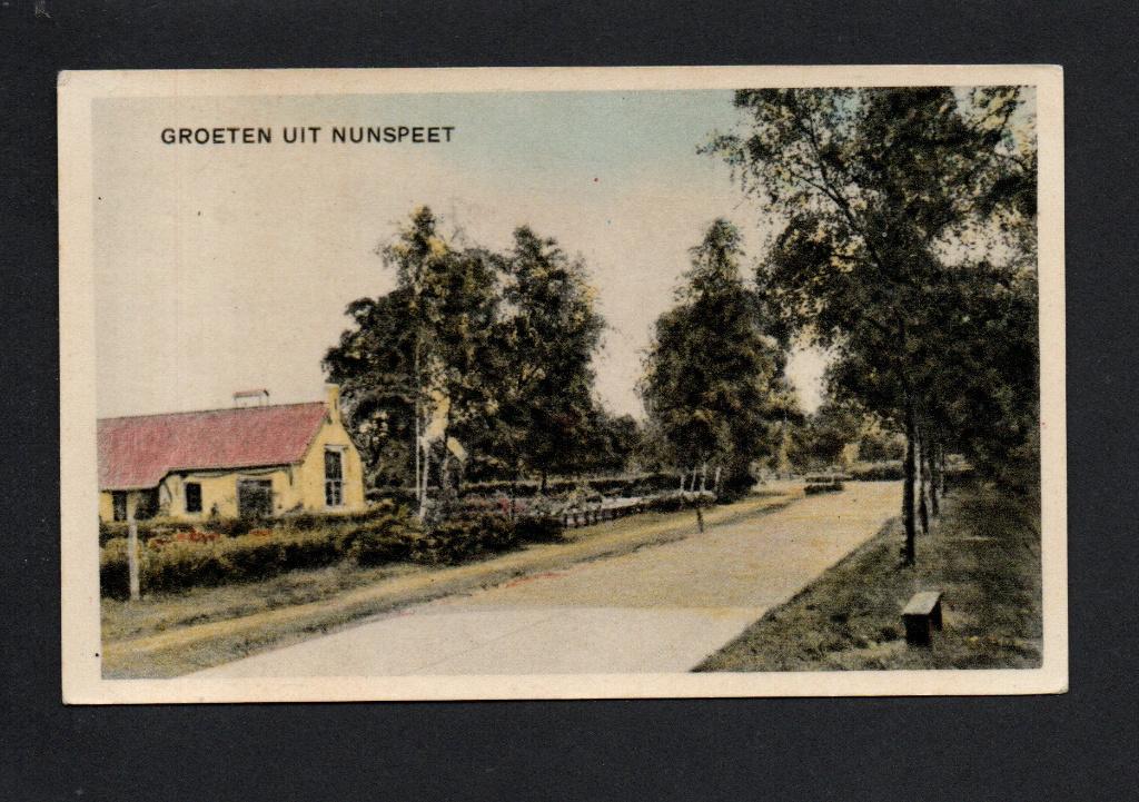 Groeten uit Nunspeet. F.A. Molijnlaan., Verzenden, 1940 tot 1960, Ongelopen, Gelderland