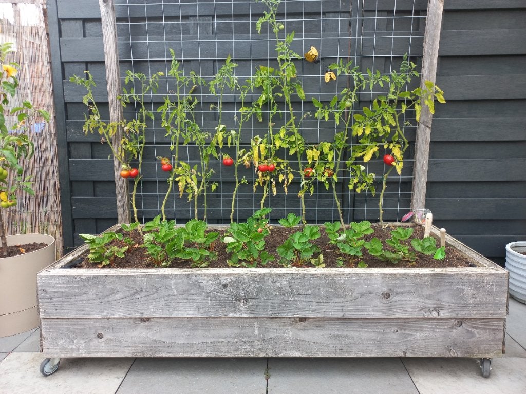 GRATIS! Verrijdbare moestuinbak met inhoud!, Tuin en Terras, Bloembakken en Plantenbakken, Ophalen, Gebruikt, 100 cm of meer, Balkon