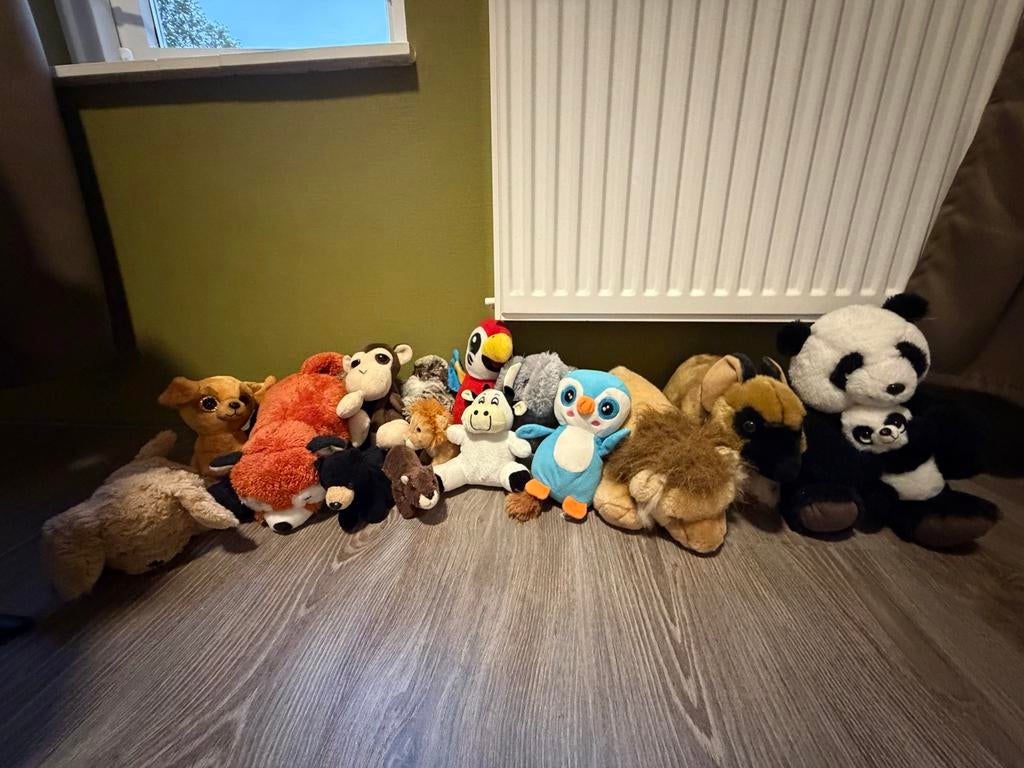 Grote collectie knuffels - diverse dieren, Gebruikt, Ophalen of Verzenden, Middelgroot (20 tot 80 cm), Beige