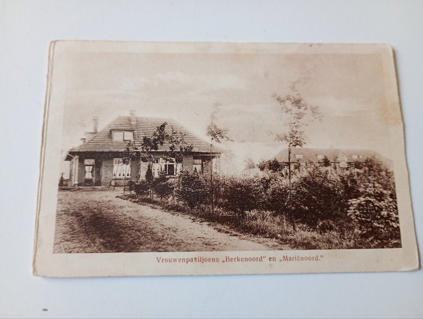Eibergen Rekken Vrouwenpaviljoens 1919, Ophalen of Verzenden, Voor 1920, Gelopen, Overijssel