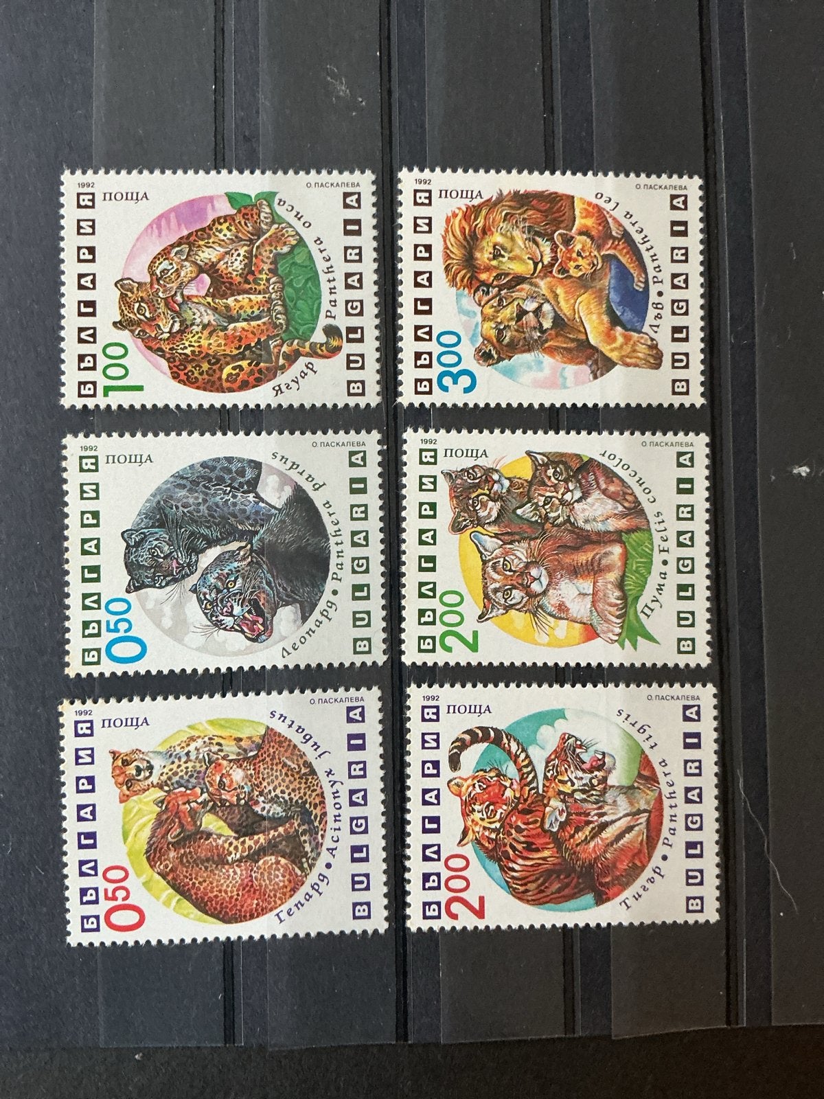 Bulgarije 1992 - Wilde katten (6 stuks), Verzenden, Bulgarije, Postfris