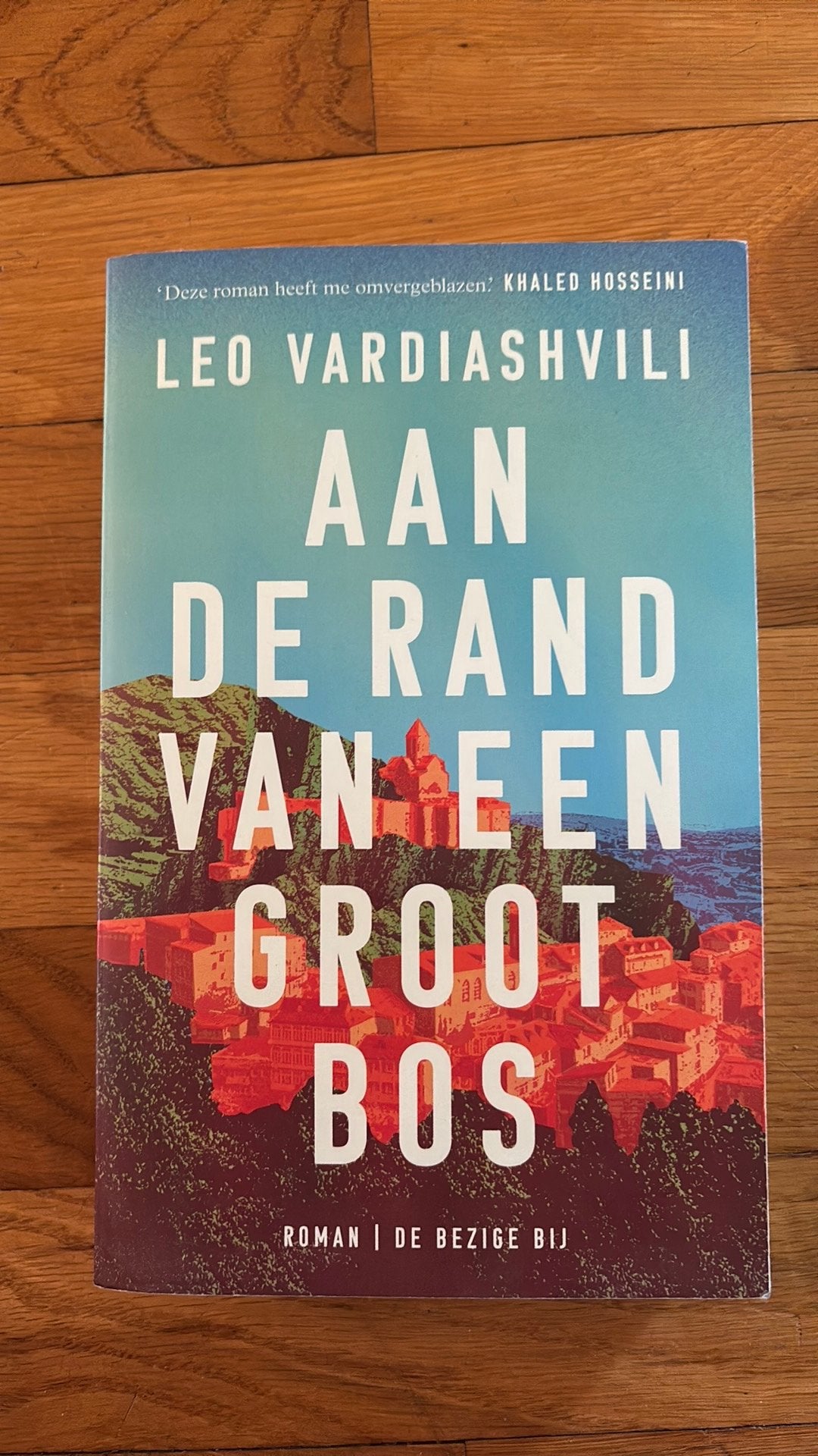 Leo Vardiashvili - Aan de rand van een groot bos, Ophalen of Verzenden, Zo goed als nieuw, Leo Vardiashvili