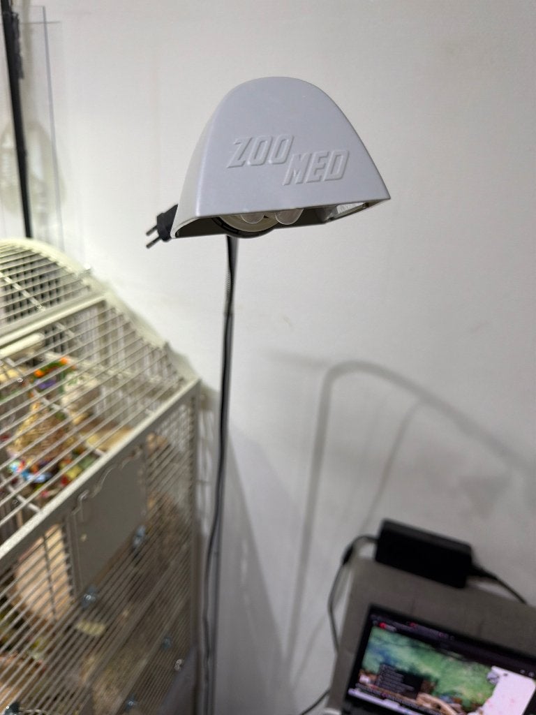 Papagaaien lamp of vogel lamp voor vogels, Ophalen, Gebruikt, Metaal, Overige typen