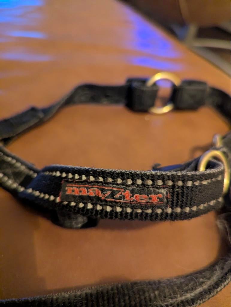 Anti trektuig voor honden merk maZter - small, Ophalen