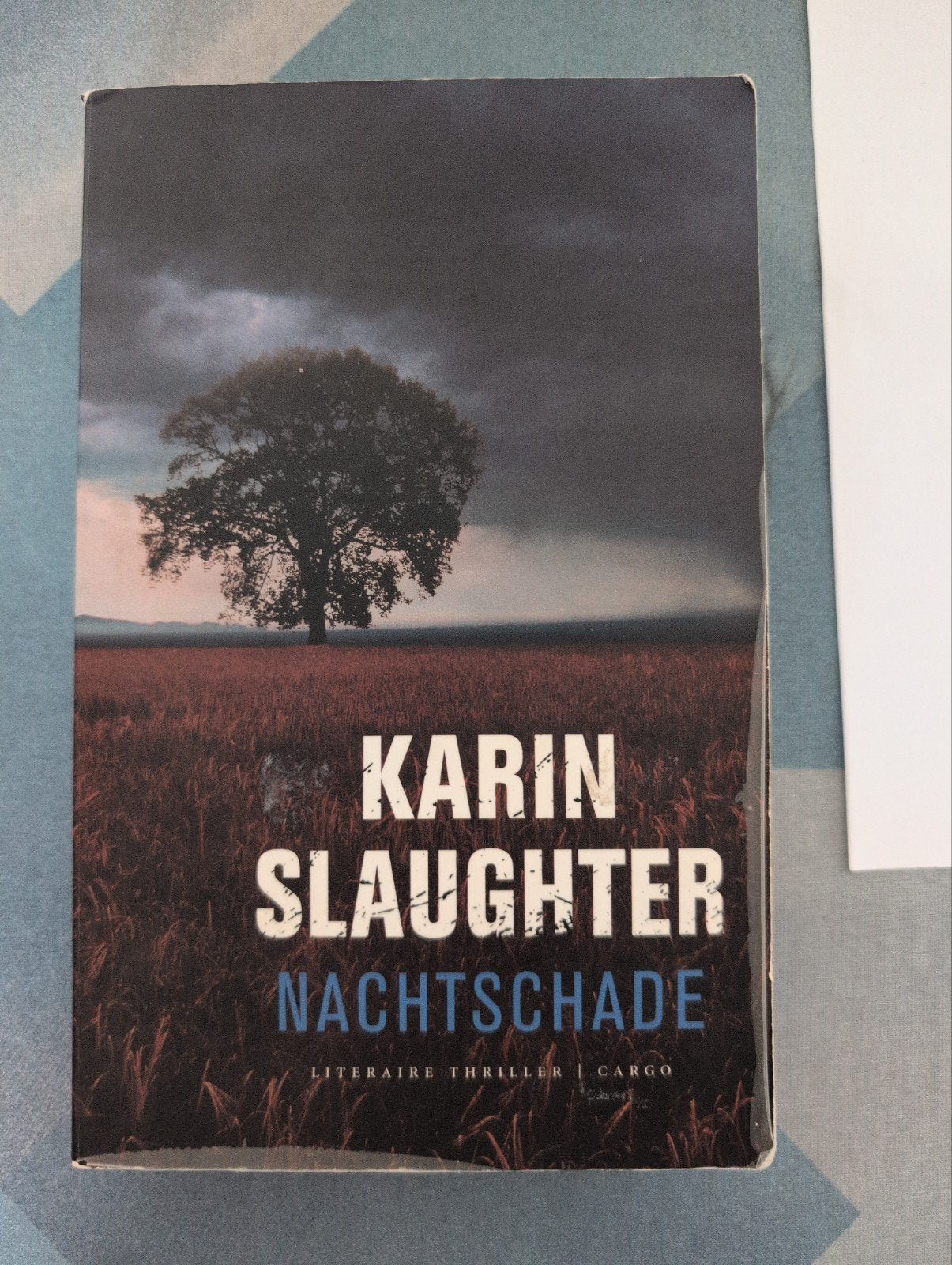 Karin Slaughter - Nachtschade (Literaire Thriller), Boeken, Ophalen of Verzenden, Gelezen, Karin Slaughter, Europa overig