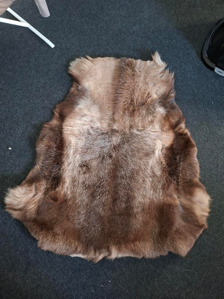 Rendiervacht, Ophalen of Verzenden