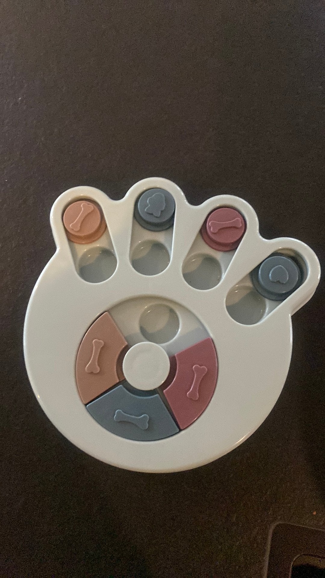 Honden voederpuzzel, Ophalen, Zo goed als nieuw, Intelligentiespeelgoed