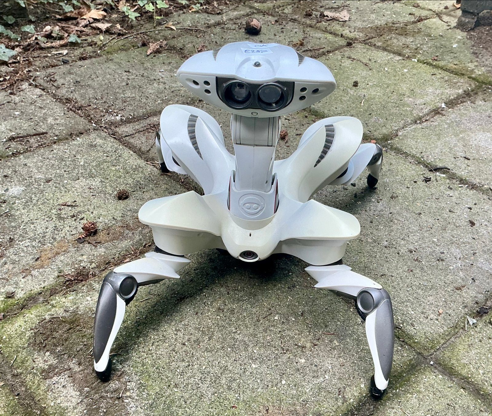 Robot spin met afstandsbediening, Ophalen of Verzenden, Gebruikt