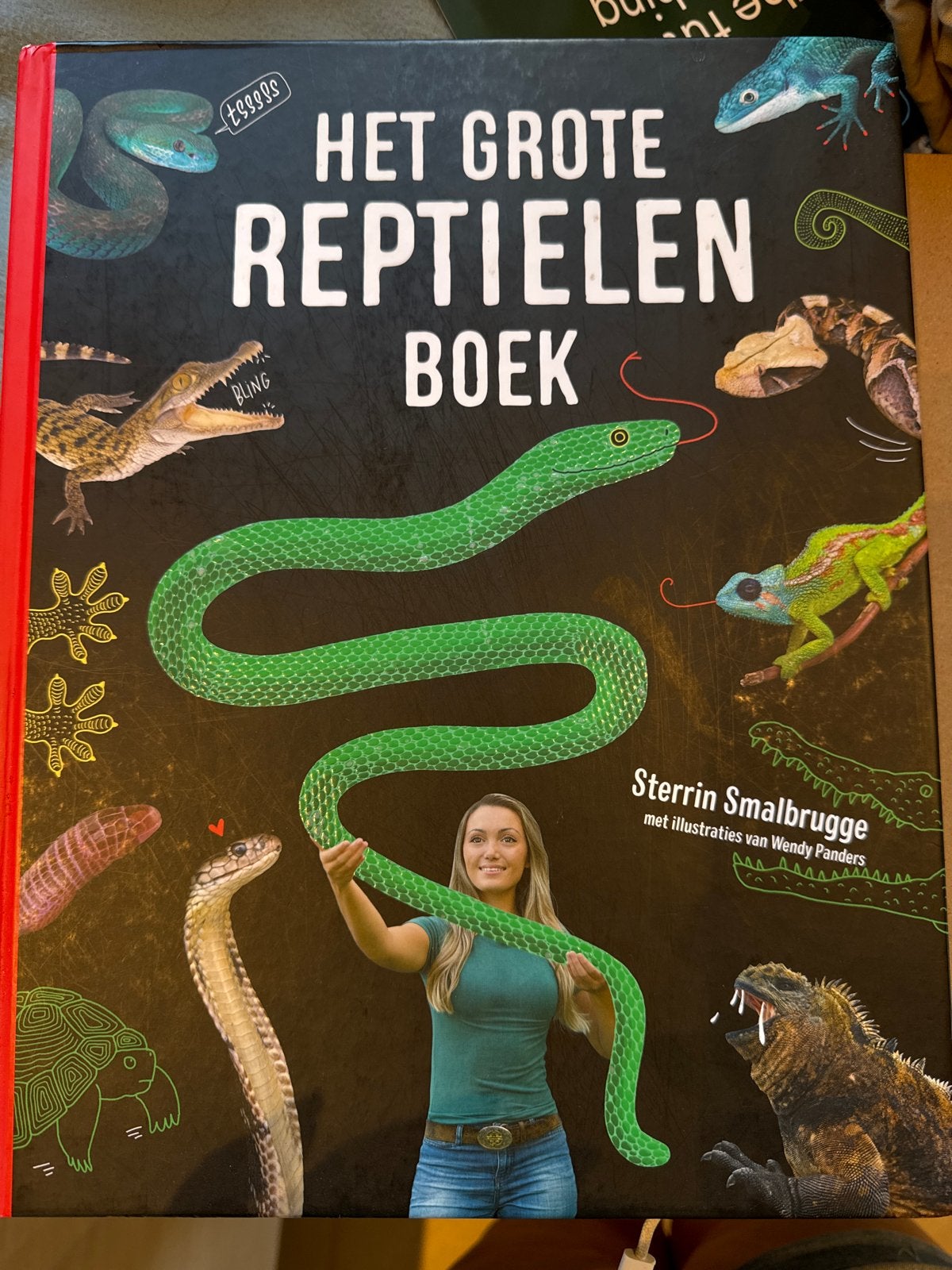 Het Grote Reptielen Boek - Sterrin Smalbrugge, Ophalen of Verzenden, Zo goed als nieuw, Reptielen of Amfibieën