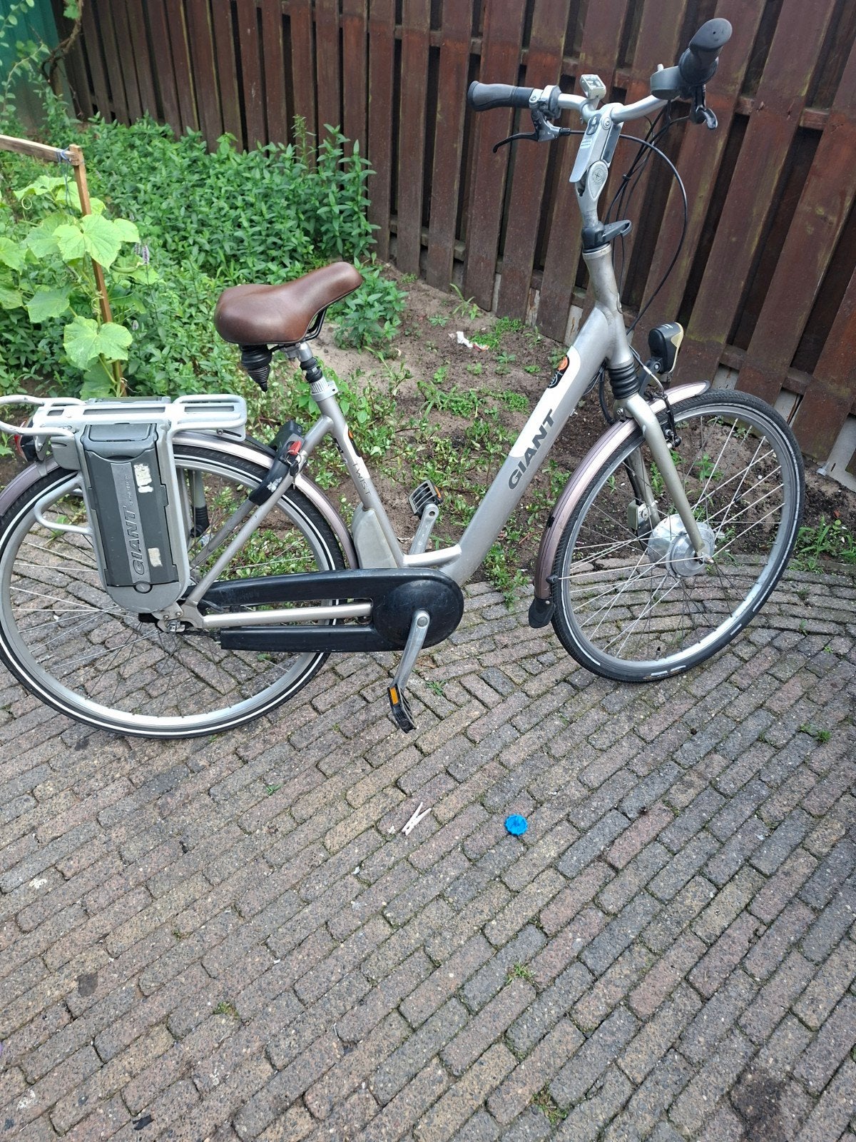 Giant Twist elektrische fiets met 2 accu's, 70km bereik, Fietsen en Brommers, Ophalen