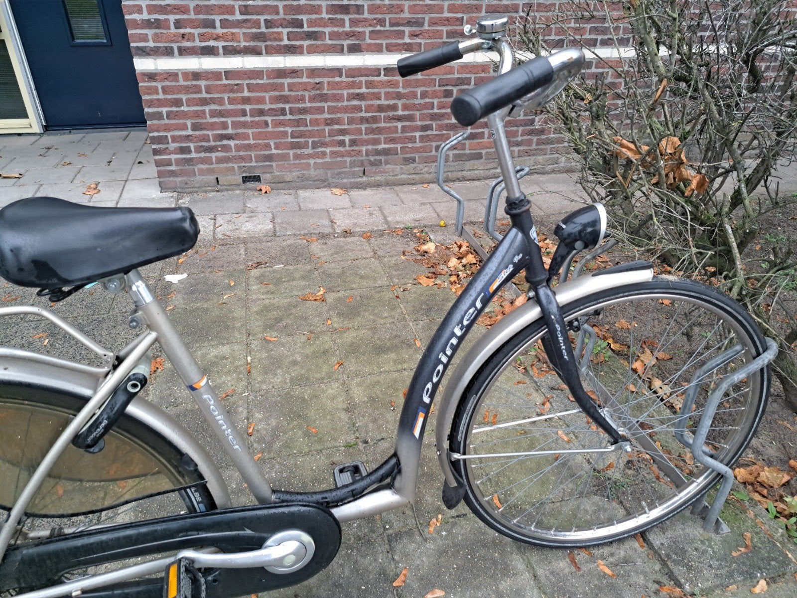 pointer laag Frame 48 cm, 47 tot 50 cm, Ophalen, Gebruikt, Overige merken