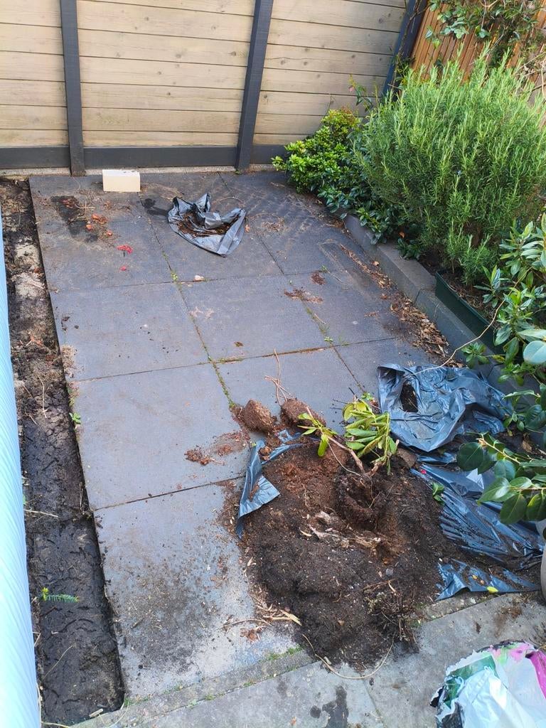 Gratis af te halen: 12 gebruikte terrastegels, Tuin en Terras, Tegels en Klinkers, Ophalen of Verzenden, Gebruikt, Terrastegels