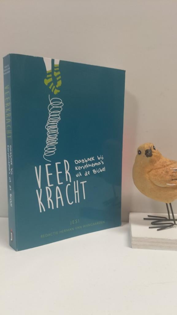 Wijngaarden, Herman van; Veerkracht, Boeken, Ophalen of Verzenden, Gelezen, Christendom | Protestants