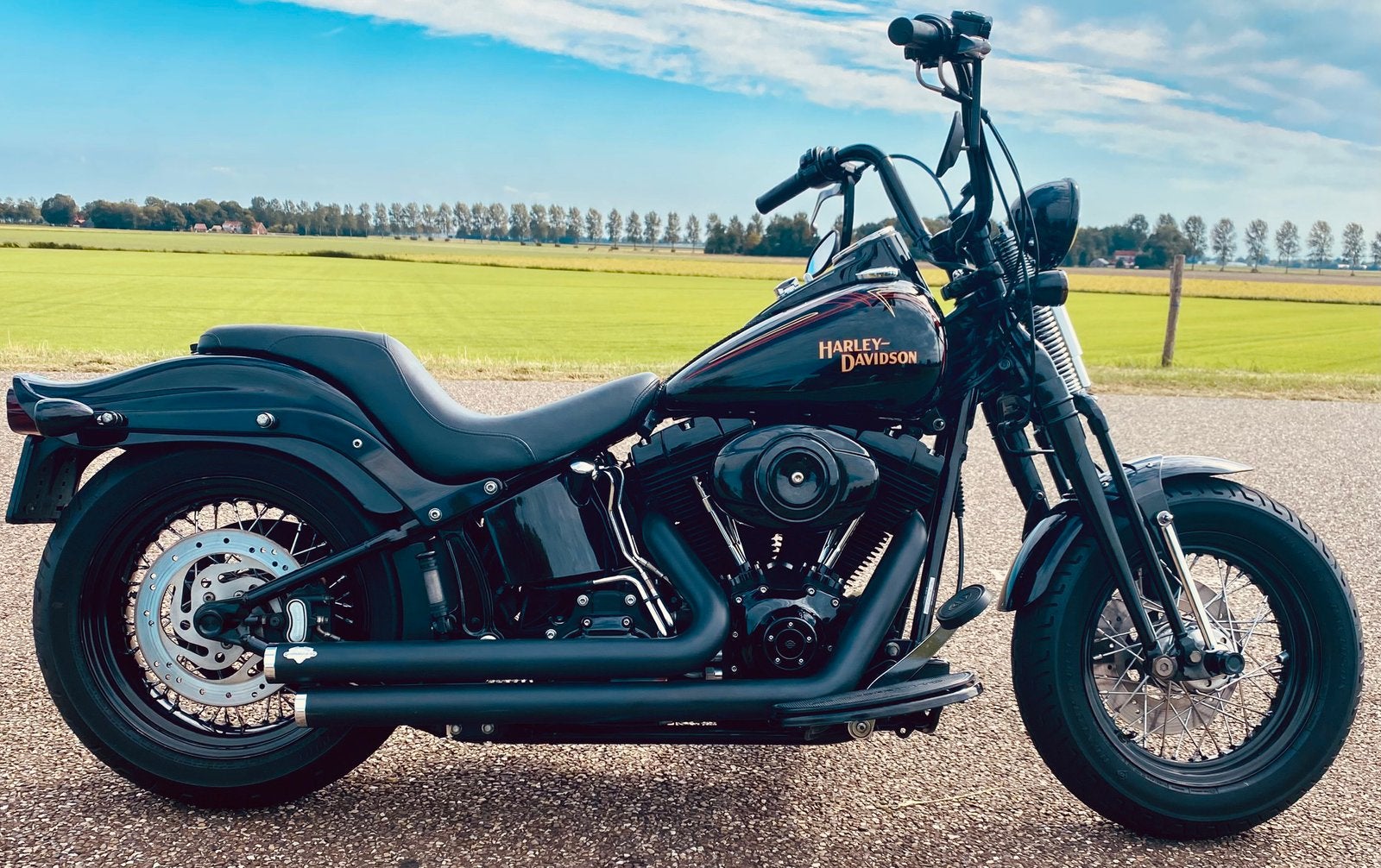 Harley Davidson FLSTSB Crossbones 2008, 2 cilinders, Occasion, Particulier, Meer dan 35 kW