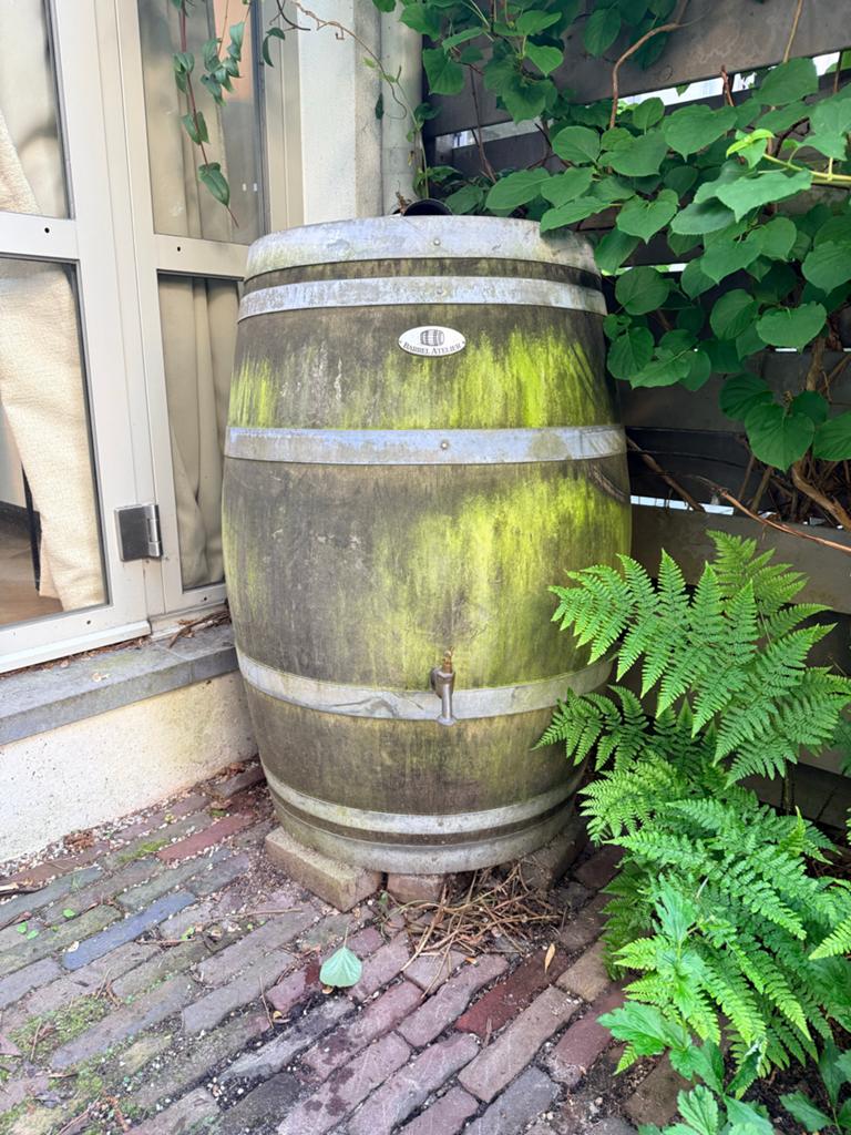Regenton van wijnvat - Barrel Atelier, Ophalen, Gebruikt