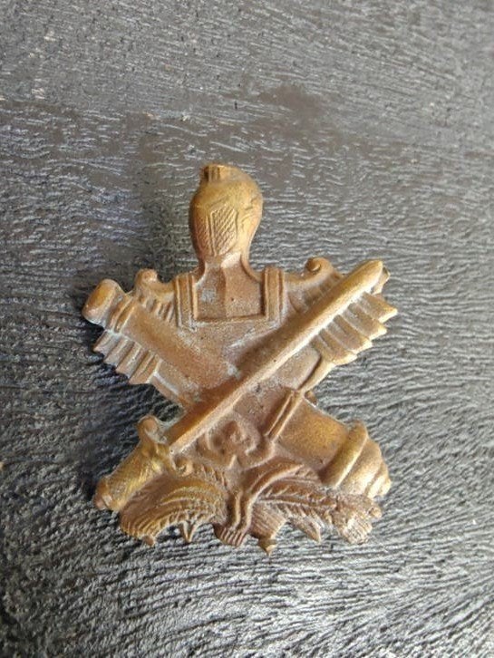 RVN Vietnam RF-PF Regional Popular Force  Cap Badge, Verzamelen, Ophalen of Verzenden, Landmacht, Nederland, Embleem of Badge