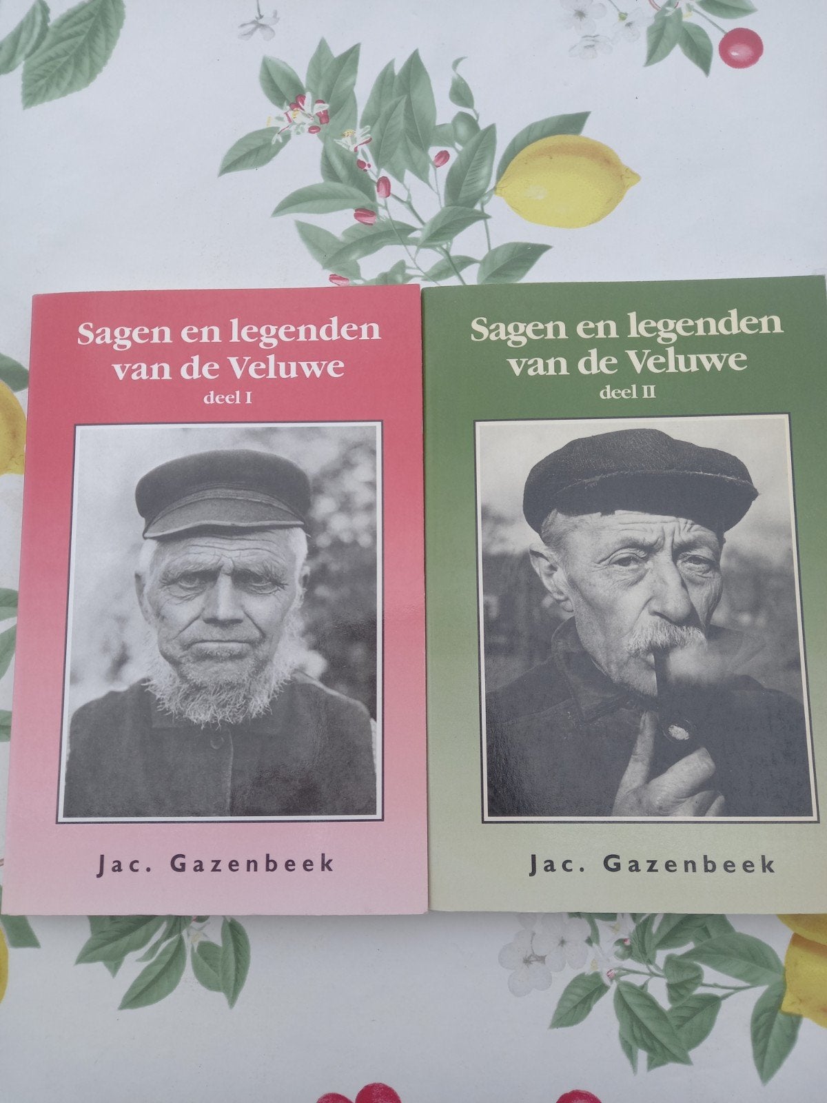 M5 Sagen en legenden van de Veluwe Gazenbeek - 1 en 2, Ophalen of Verzenden, Zo goed als nieuw, Gazenbeek