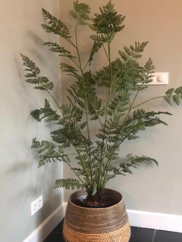 Kunst plant silk-ka, Ophalen, Groen, 160 cm, Kunstplant