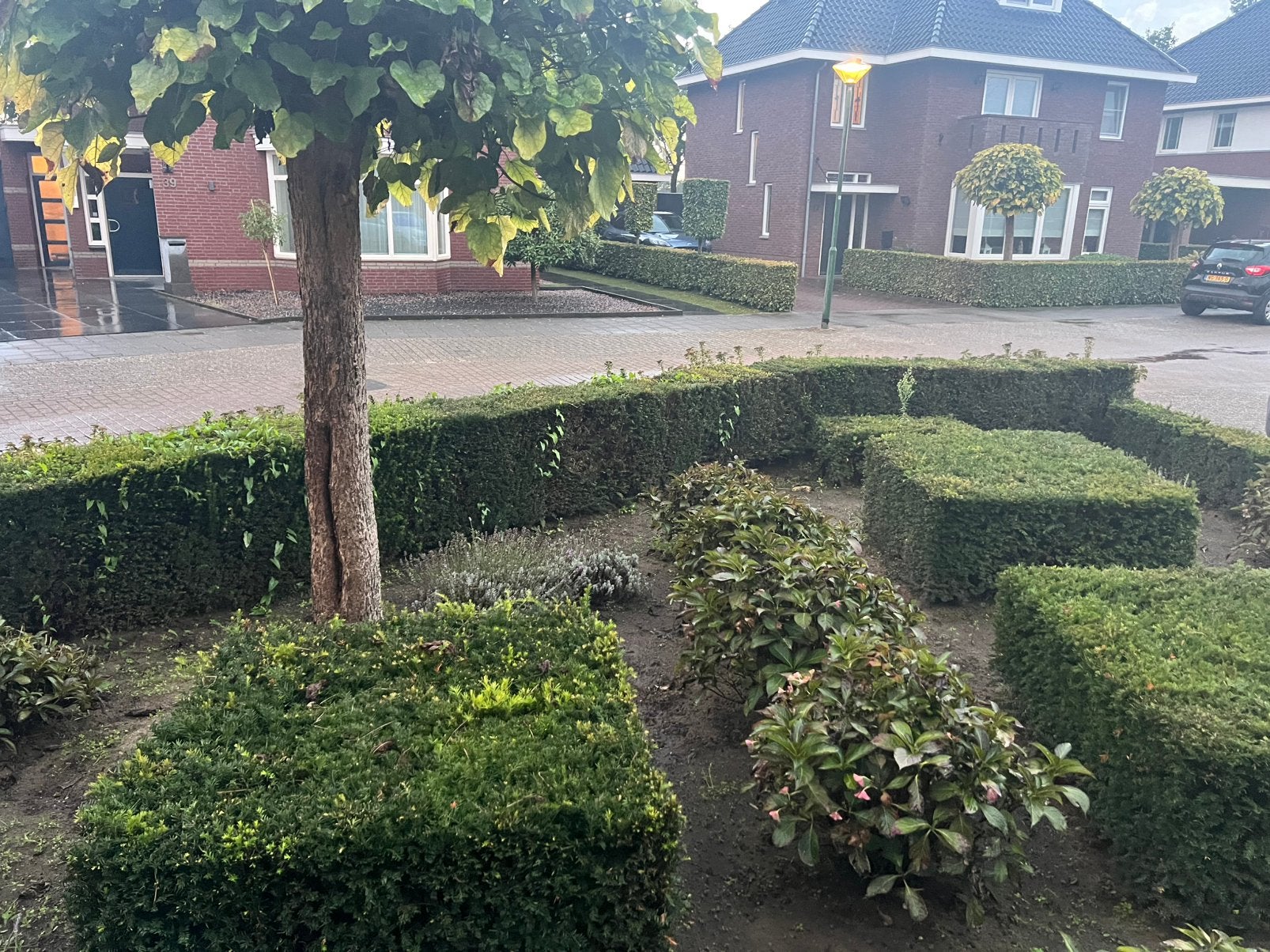 Heg (gratis ), Ophalen, Minder dan 100 cm