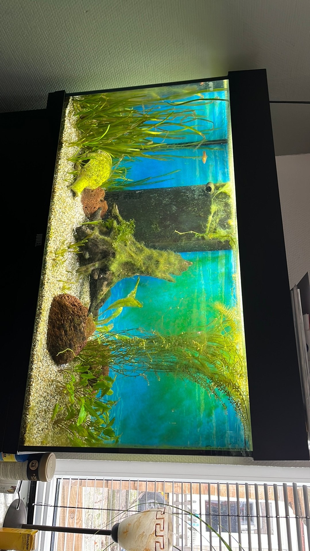 Juwel aquarium 80 cm breed, Ophalen, Gebruikt, Gevuld zoetwateraquarium, Juwel