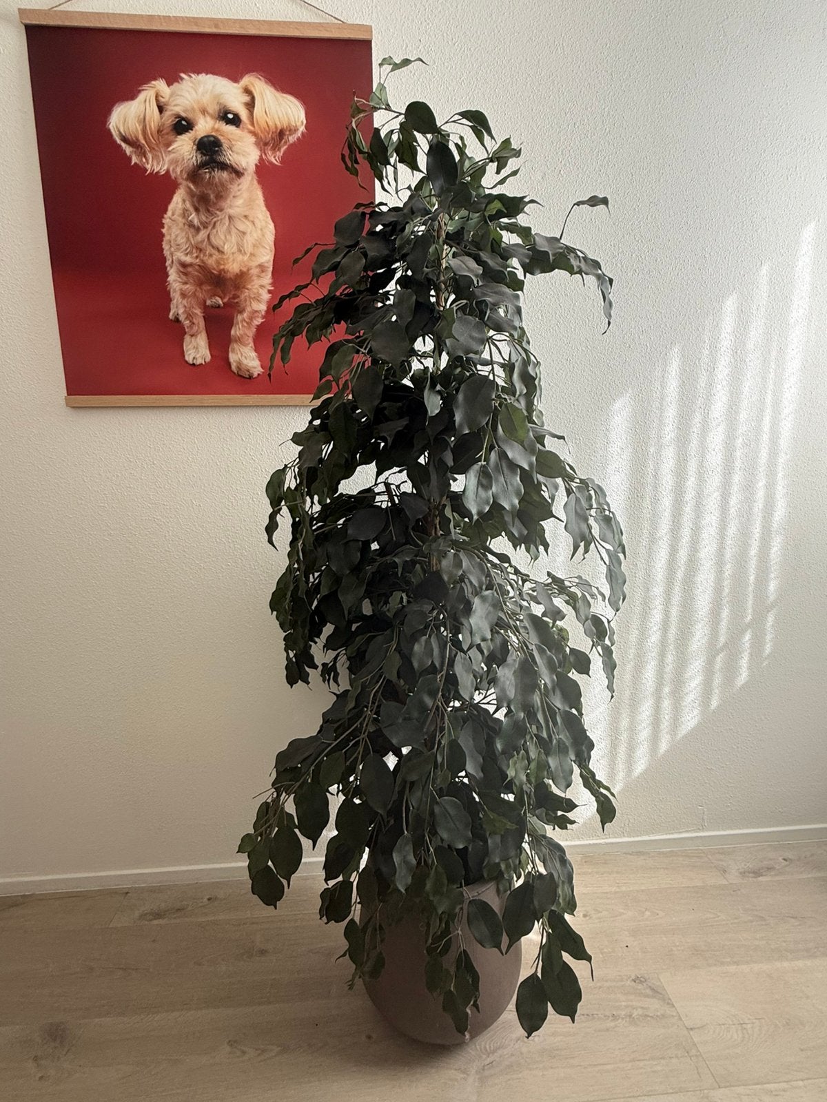 Mooie kunstplant met pot, 160 hoog, Ophalen, Halfschaduw, 150 tot 200 cm