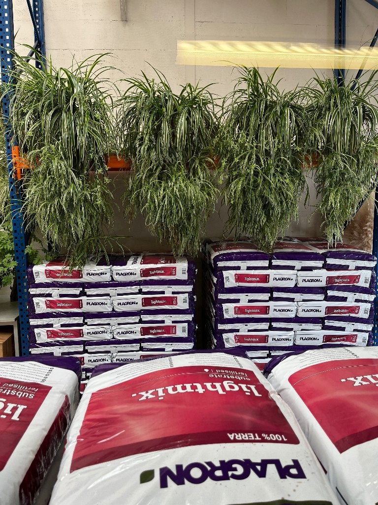 Plagron light/ growmix 50L 25L buiten/binnen planten aarde, Tuin en Terras, Ophalen of Verzenden, Tuinaarde
