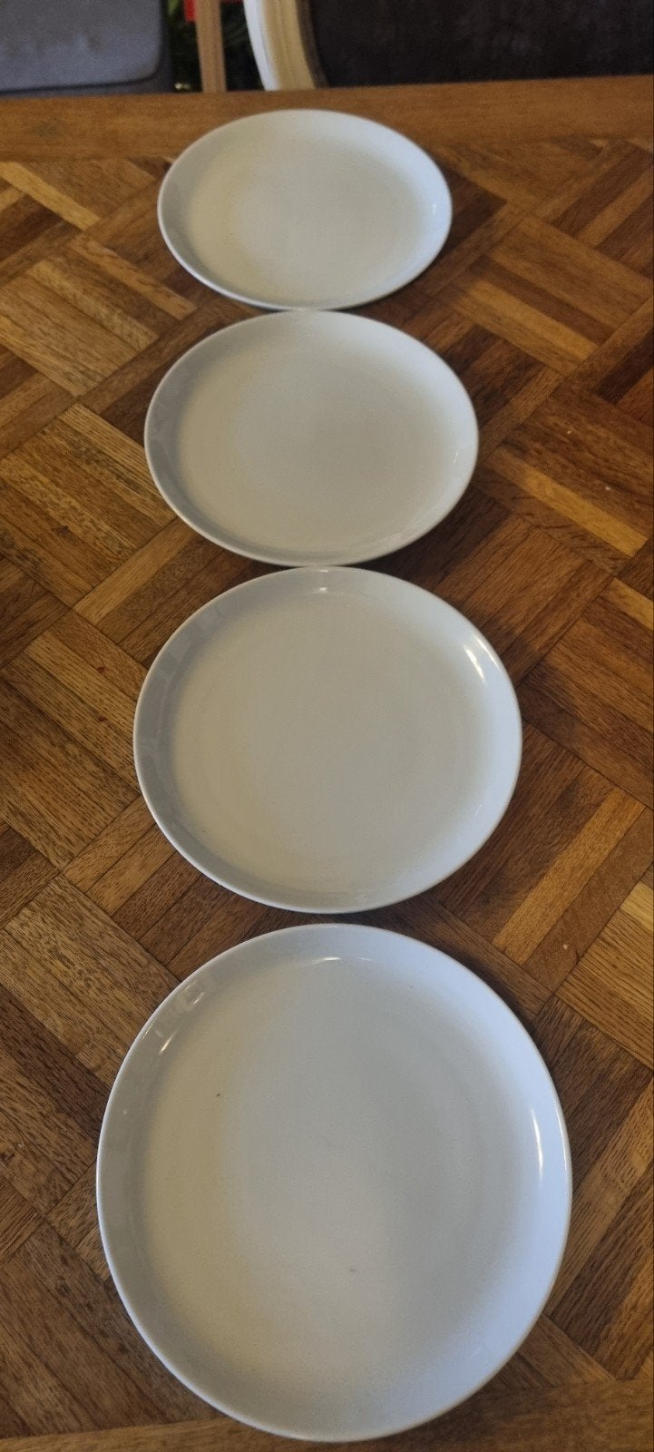 Villeroy & Boch Vivo borden 20 cm rond - Nieuw, Huis en Inrichting, Villeroy & Boch, Nieuw, Ophalen of Verzenden, Bord(en)
