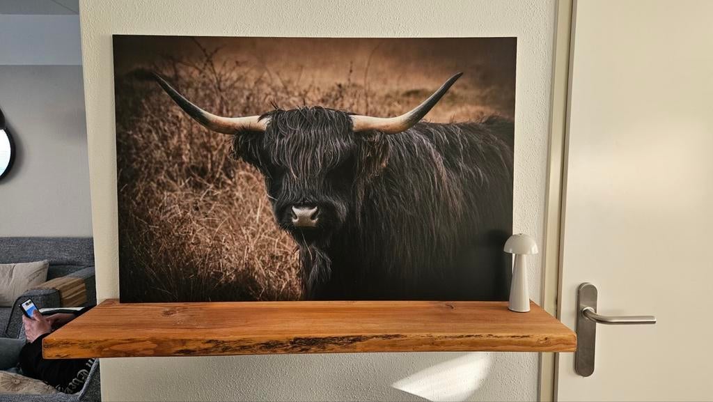 Schotse hooglander schilderij, Ophalen, Hout, Wandkapstok, Minder dan 100 cm