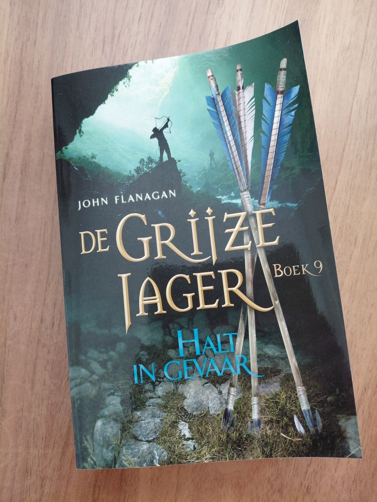 De Grijze Jager Boek 9: Halt in Gevaar - John Flanagan, Ophalen of Verzenden, Nieuw