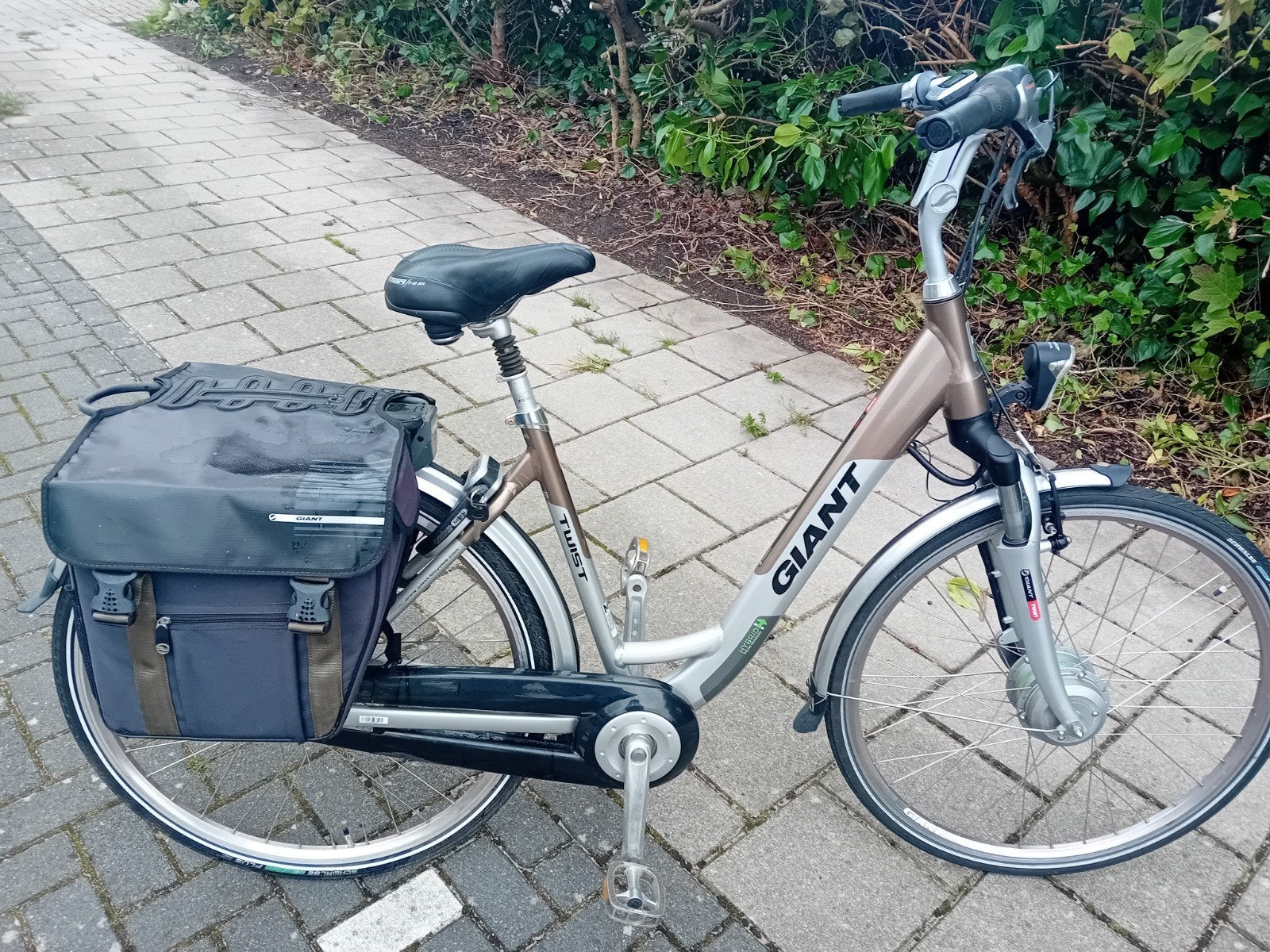 Giant twist go double electrische damesfiets
     
Tw, Fietsen en Brommers, Elektrische fietsen, Ophalen