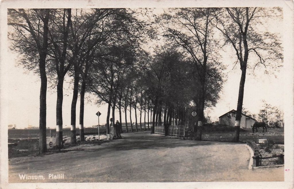 702-389-027 Winsum Plattil, Verzenden, Voor 1920, Groningen