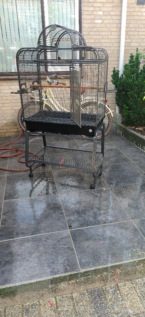 Kooi, Dieren en Toebehoren, Meerdere dieren, Papegaai