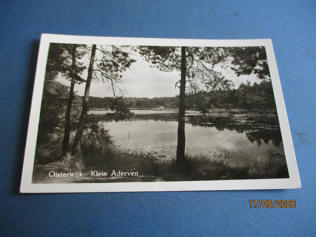 Oisterwijk, Ophalen of Verzenden, Voor 1920, Gelopen, Noord-Brabant