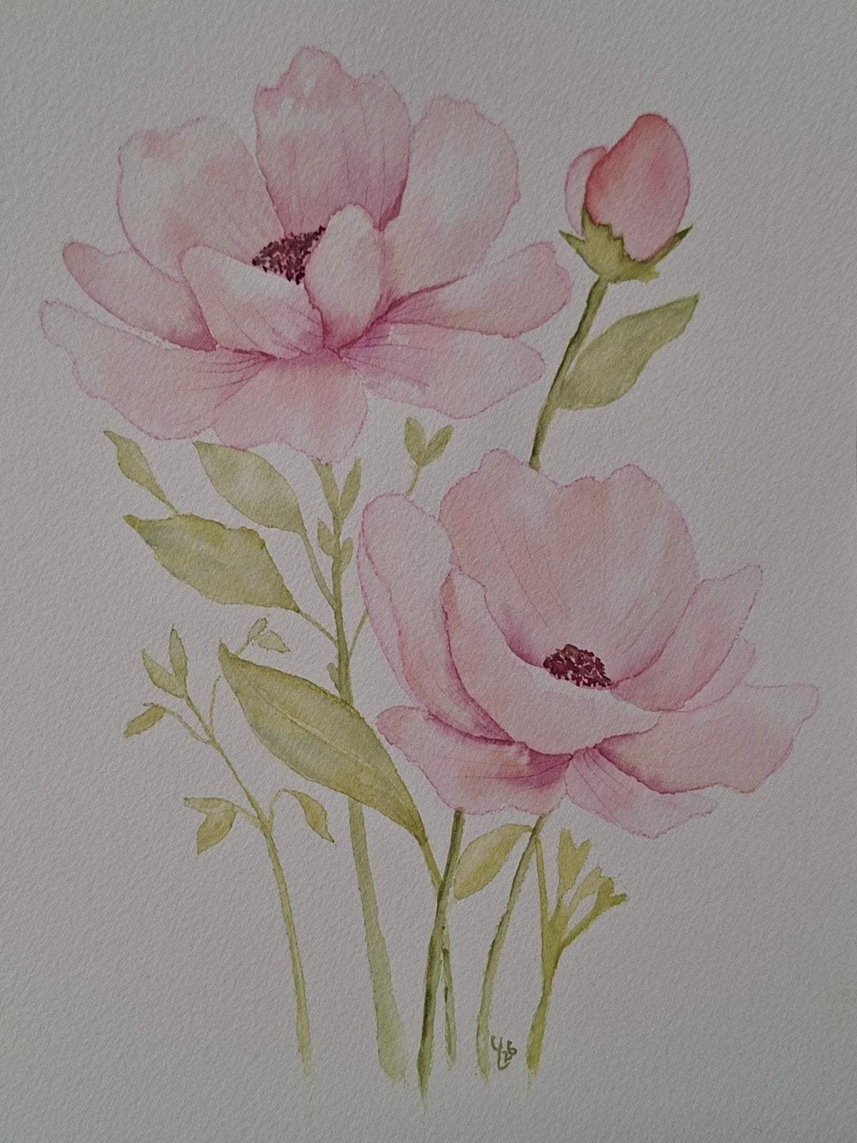 Aquarel "Rose bloemen", Minder dan 50 cm, Oorspronkelijke maker, Nieuw, Ophalen of Verzenden