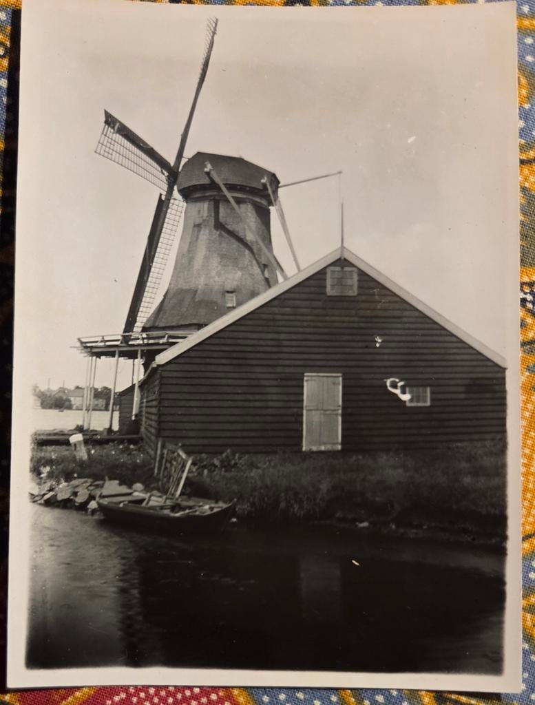 Zaandam molen de Kogmeeuw, Verzamelen, Foto's en Prenten, Ophalen of Verzenden, Voor 1940, Zo goed als nieuw
