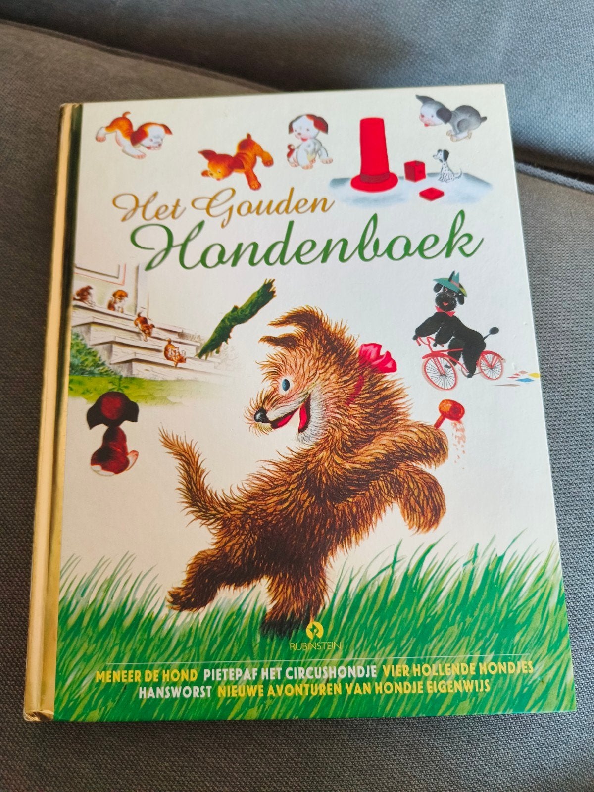Het Gouden Hondenboek - Rubinstein, Ophalen of Verzenden, Zo goed als nieuw, Diverse auteurs, Fictie algemeen