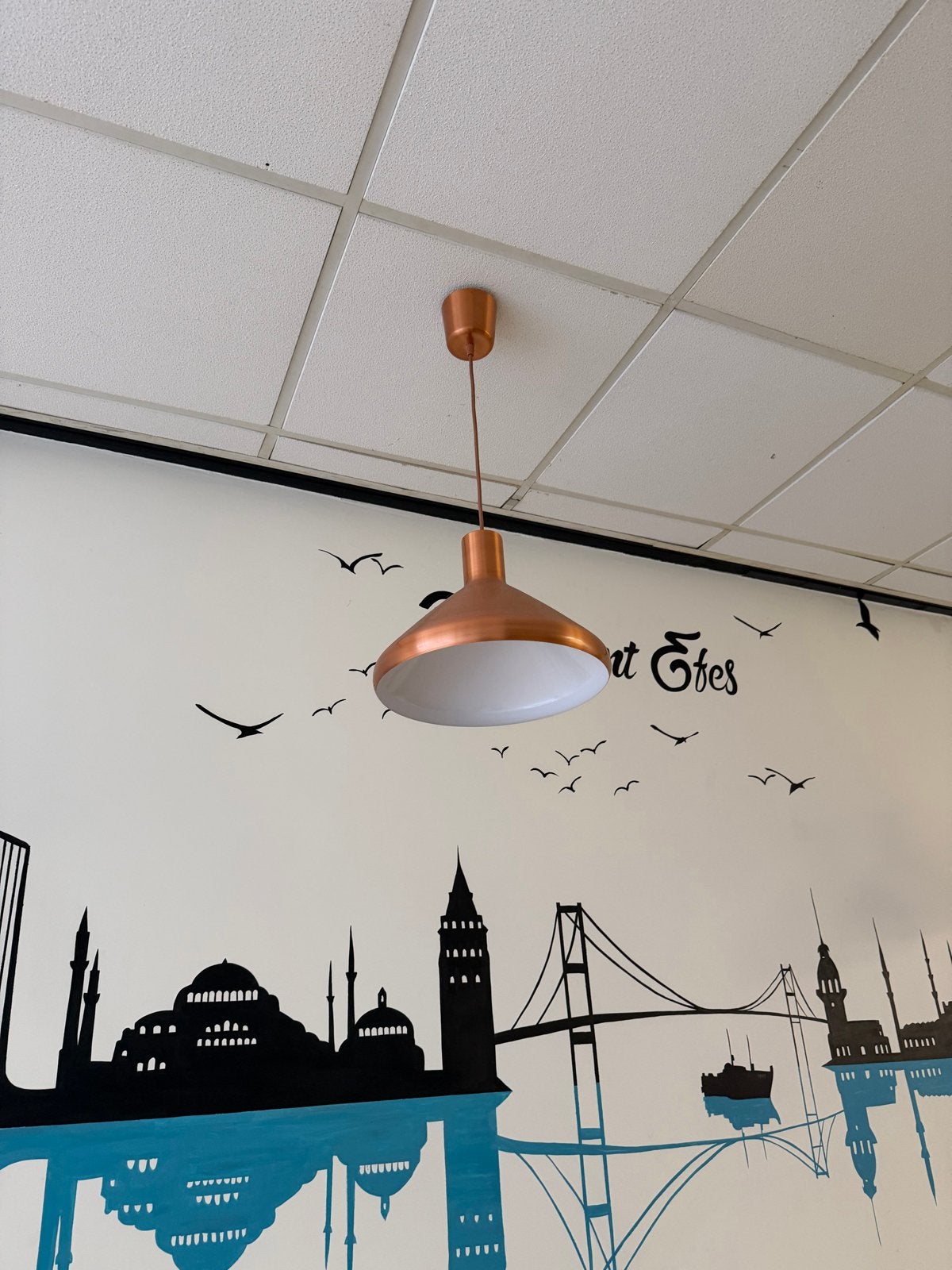 9x Koperen Hanglamp / Industriële Lamp, Ophalen, Zo goed als nieuw, Metaal, E27 (groot)