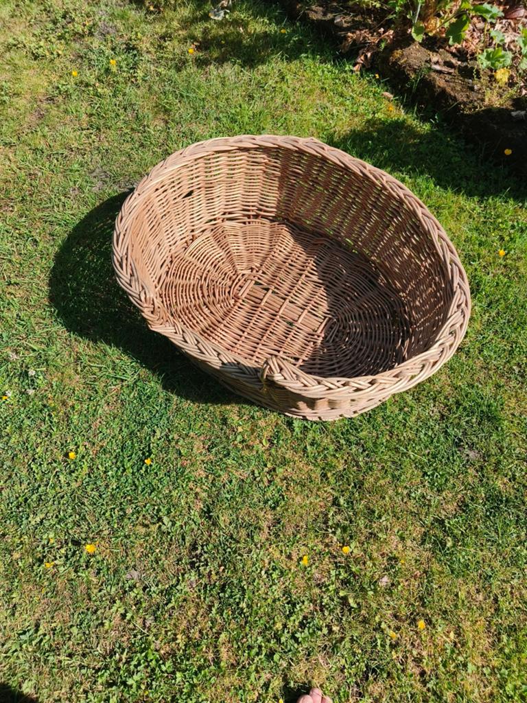 Hondenmand, Dieren en Toebehoren, Ophalen, Riet