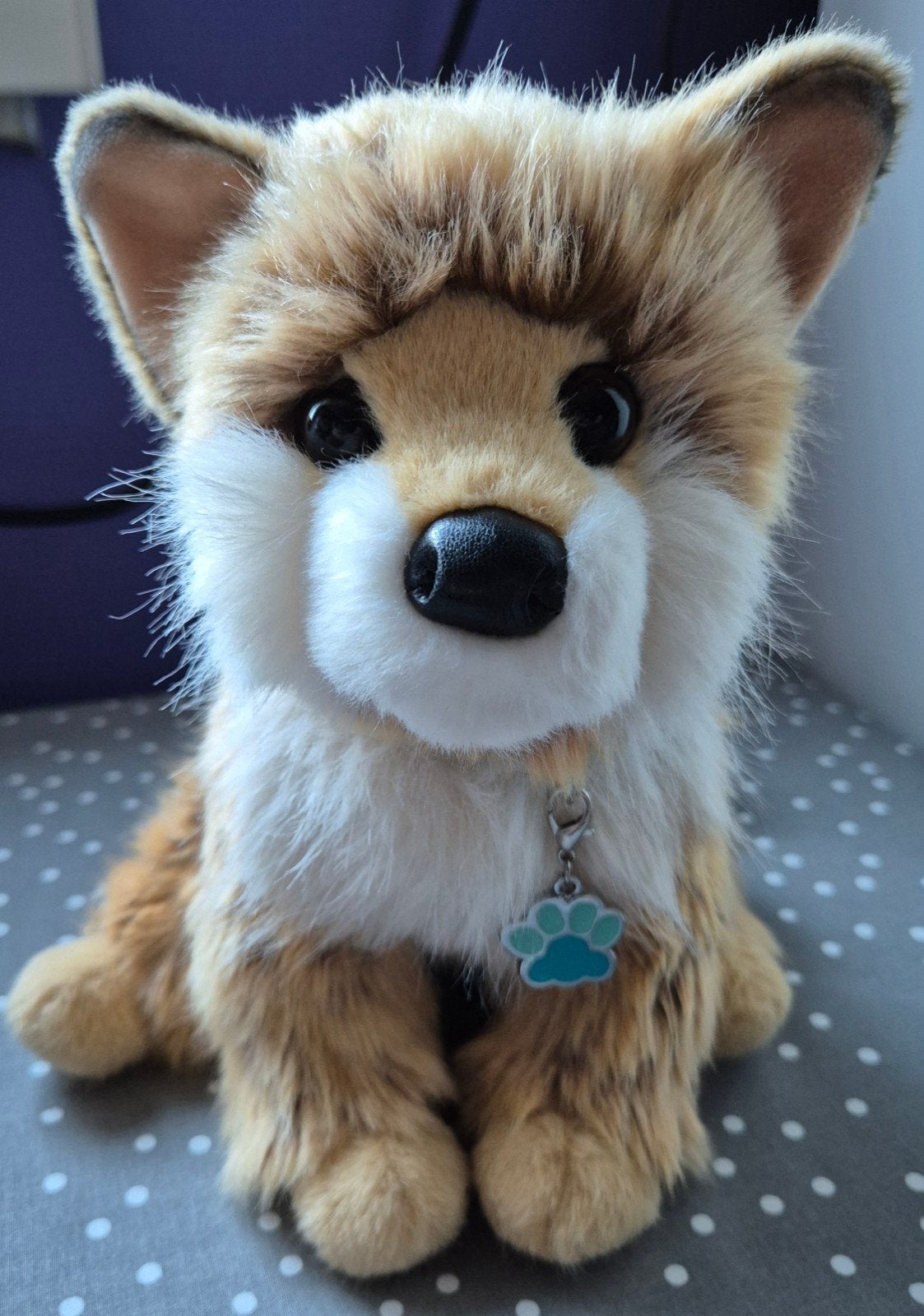 Douglas cuddle toys Dove pomsky honden knuffel ESSA, Overige merken, Overige karakters, Nieuw, Middelgroot (20 tot 80 cm)