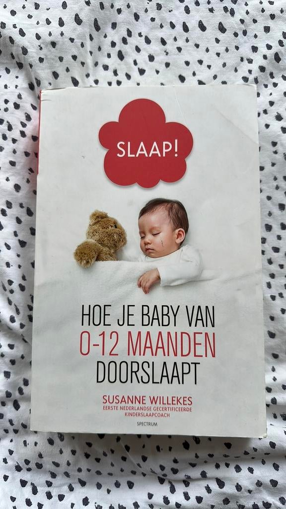 Susanne Willekes - Slaap! Baby boek, Boeken, Zwangerschap en Opvoeding, Susanne Willekes, Ophalen of Verzenden, Zo goed als nieuw