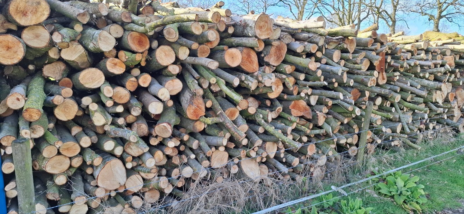 Haardhout elzen/berken mix, 6 m³ of meer, Ophalen, Elzenhout, Stammen