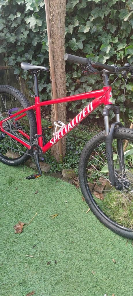 Specialized Rockhopper 29 inch, Fietsen en Brommers, Ophalen of Verzenden, Gebruikt, Overige merken