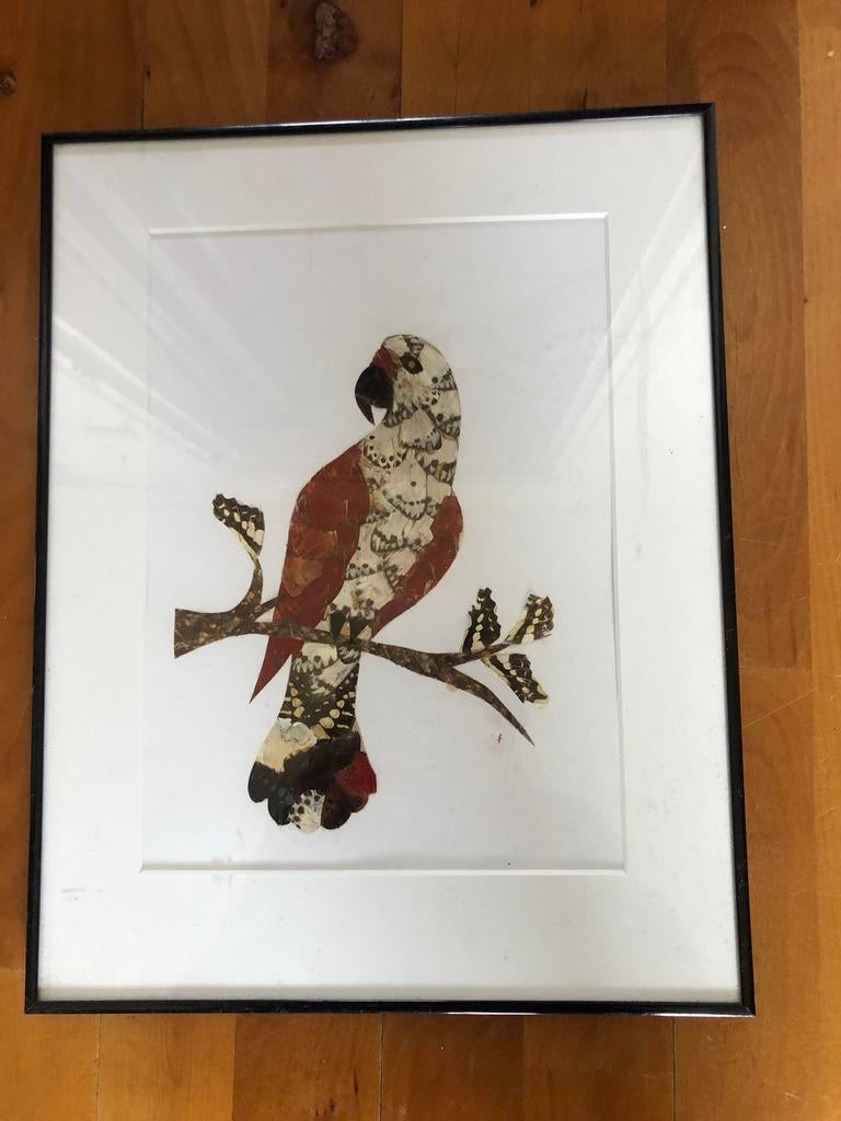 Kunstwerk van vlindervleugels, Antiek en Kunst, Ophalen of Verzenden