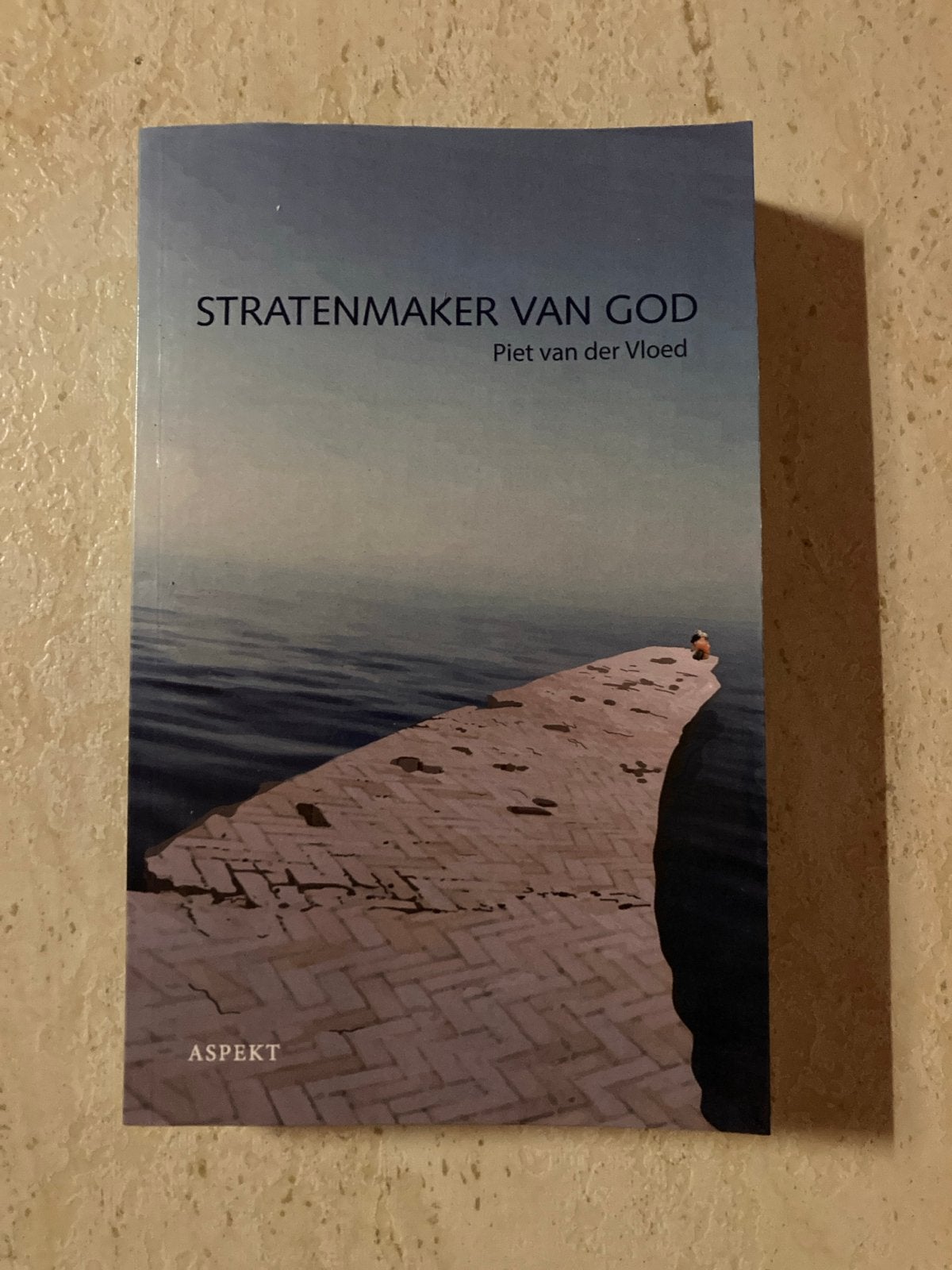 Ee Piet van der Vloed - Stratenmaker van God, Boeken, Ophalen of Verzenden, Zo goed als nieuw, Piet van der Vloed