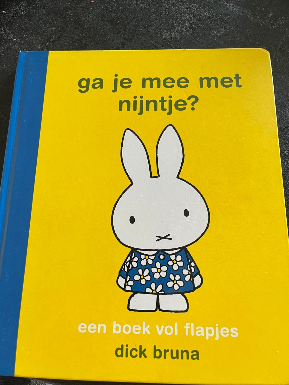 Dick Bruna - ga je mee met nijntje?, Fictie algemeen, Ophalen of Verzenden, Zo goed als nieuw, Dick Bruna