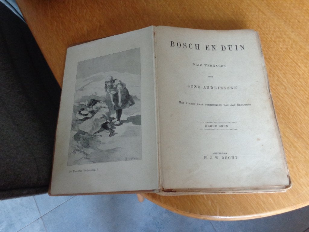 Suze Andriessen - Bosch en Duin uit 1913, Ophalen of Verzenden