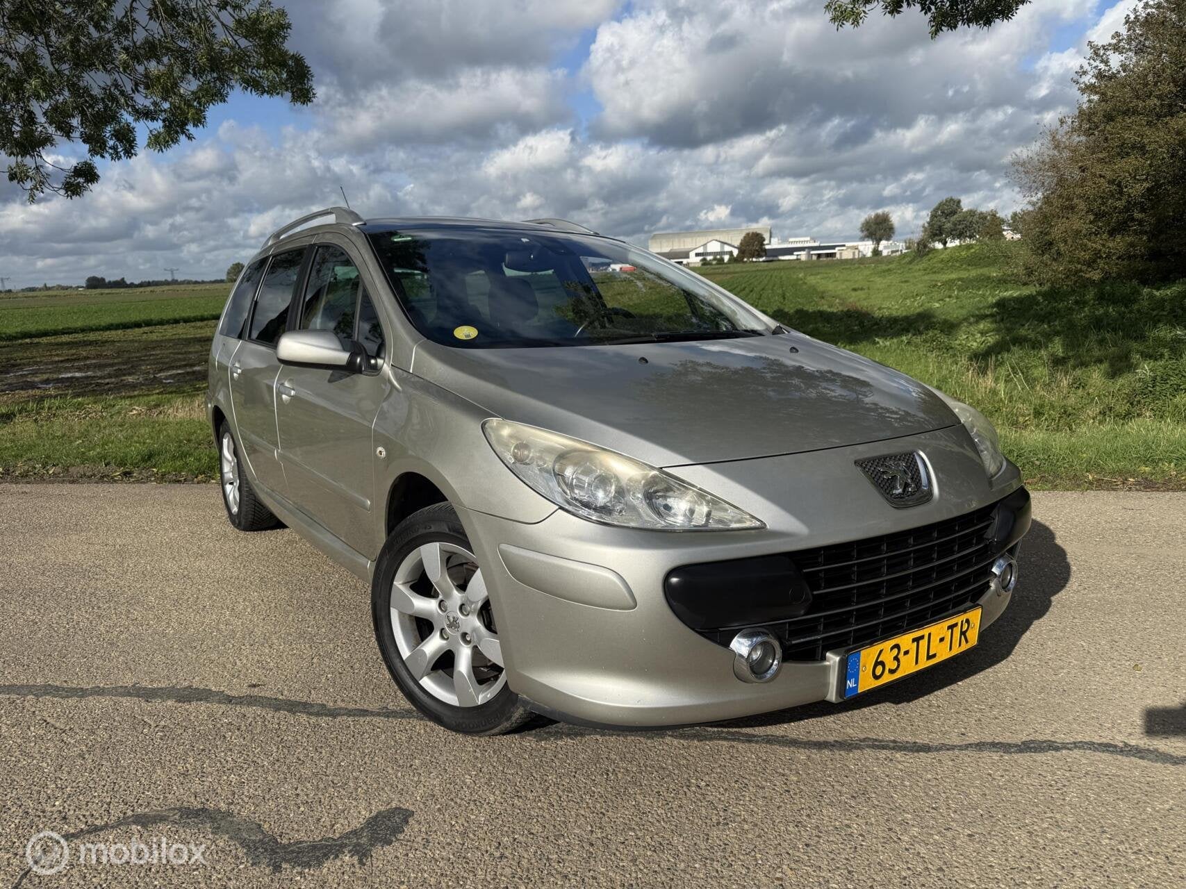 Peugeot 307 SW 2.0-16V Premium I 7-zits I NIEUWE APK!, 730 kg, Gebruikt, 4 cilinders, 7 stoelen